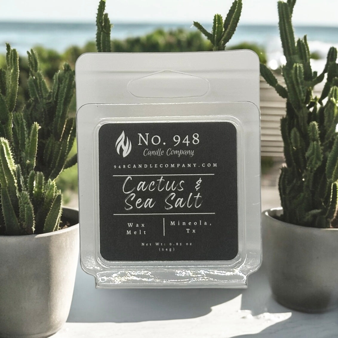 Cactus & Sea Salt Wax Melt