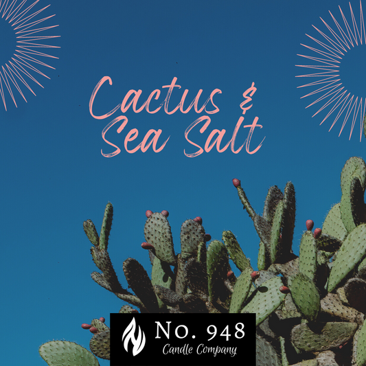 Cactus & Sea Salt Wickless Candle
